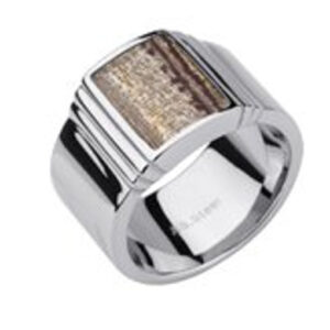 Stainless Steel Ring *Jupiter*