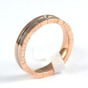 Stainless Steel Ring *Wonderfull World*